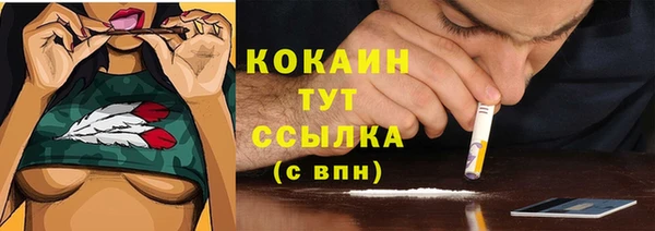 индика Абинск