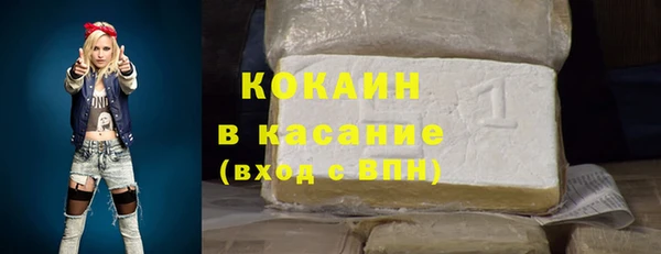 индика Абинск