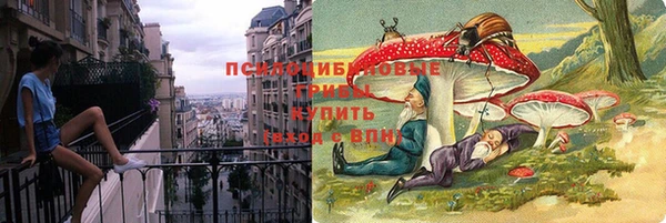 крисы Осинники