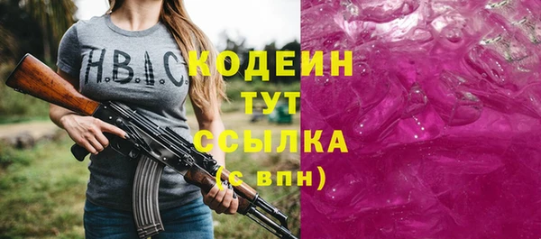 индика Абинск