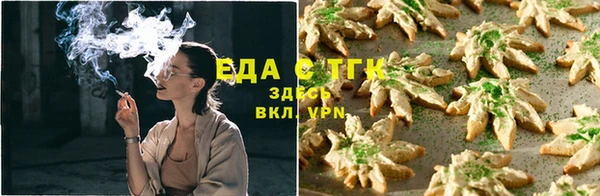 индика Абинск