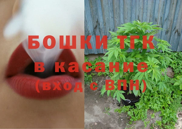 индика Абинск