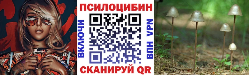Псилоцибиновые грибы мицелий  Россошь 